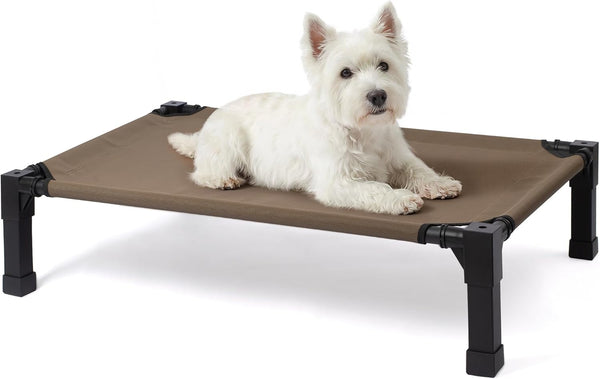 Ultimate Elevated Outdoor Dog Bed