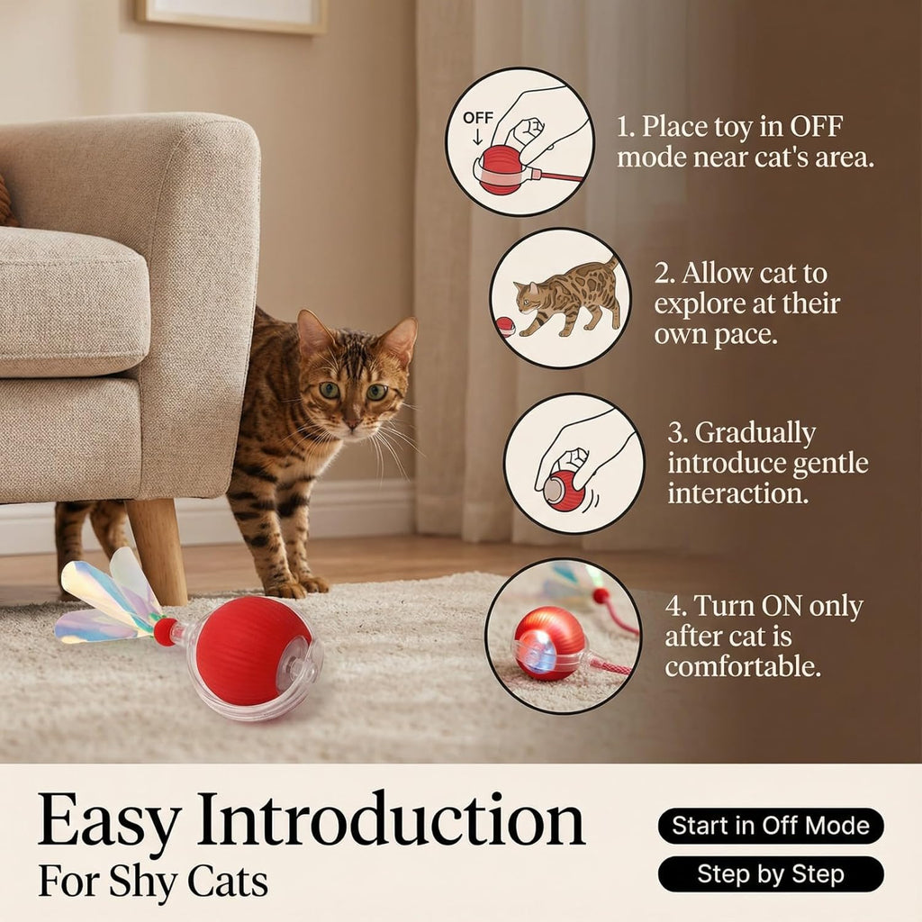 Interactive Automatic Cat Toy Ball